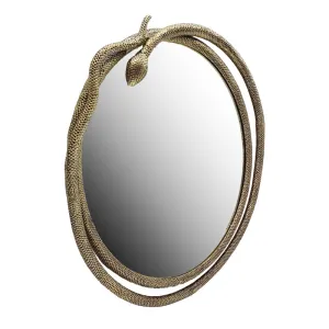 Large Antique Brass Snake Mirror